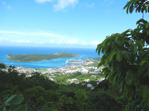 View of Charlotte Amalie with the Allure of the Seas in port