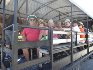 Calypso Island Tram tour