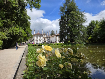 Mateus Palace