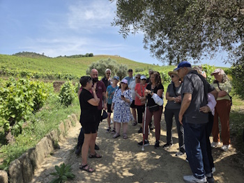 Quinta da Roeda