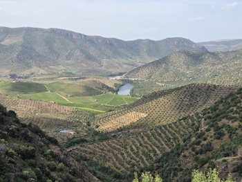 Castelo Rodrigo