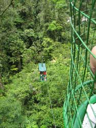 Canopy Tour in the Rain Forest